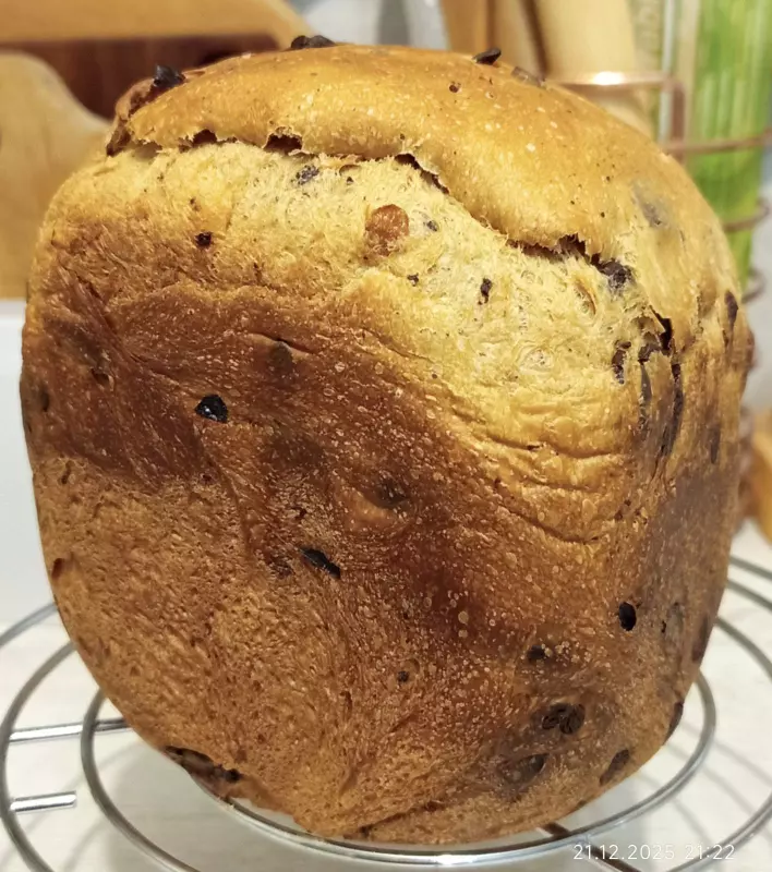 Мини-хлебопечка Panasonic SD PN100