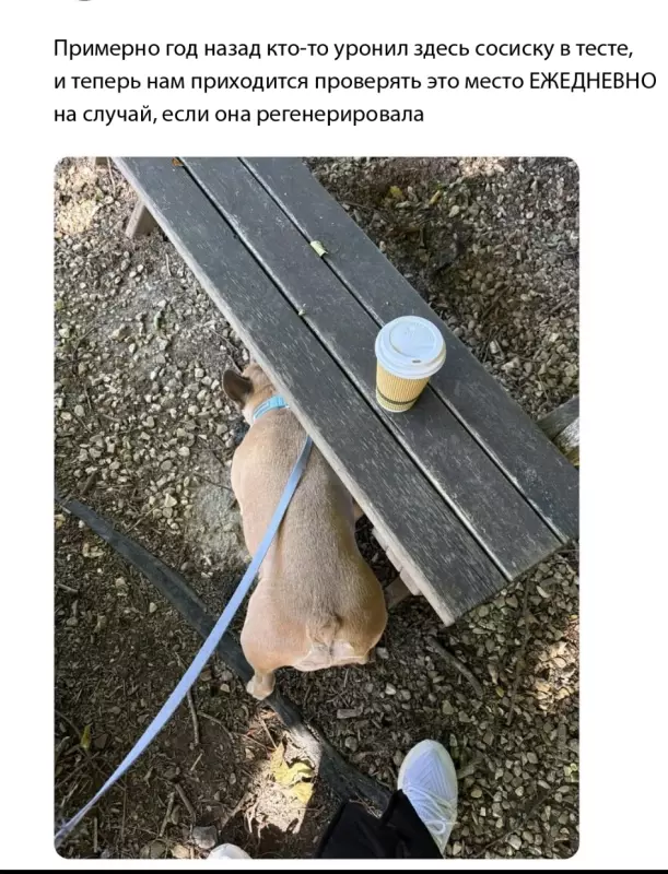 Посмеялся сам - поделись с другом!!!