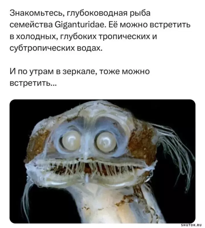 Посмеялся сам - поделись с другом!!!