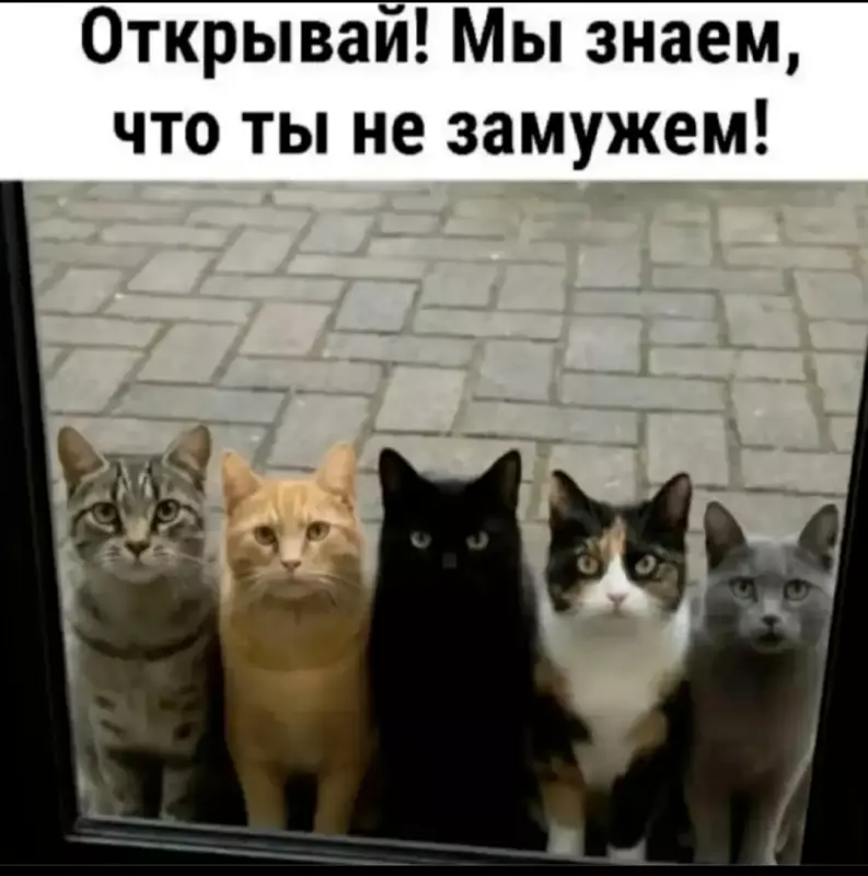 Посмеялся сам - поделись с другом!!!