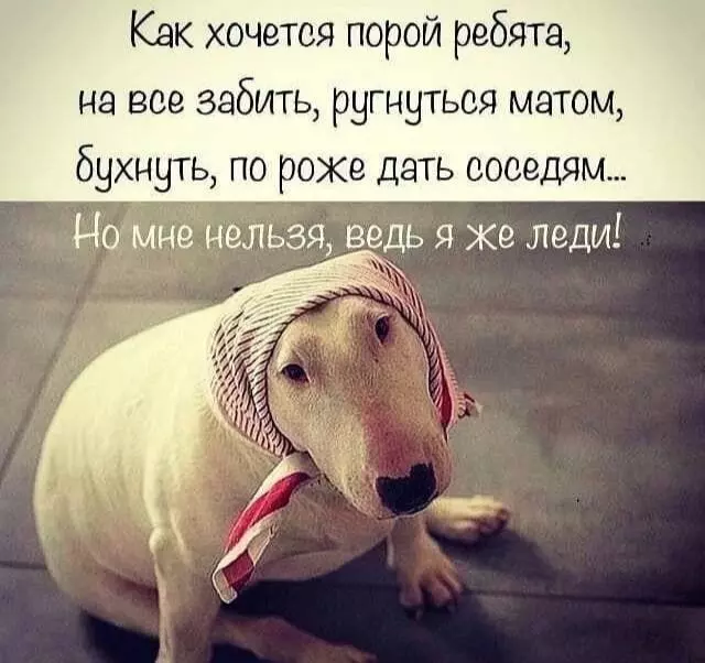 Посмеялся сам - поделись с другом!!!