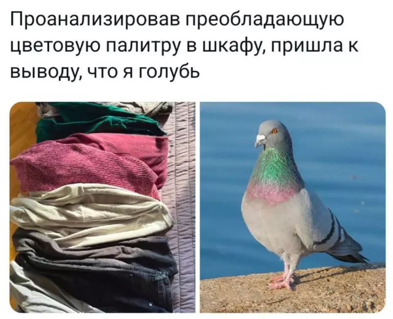 Посмеялся сам - поделись с другом!!!