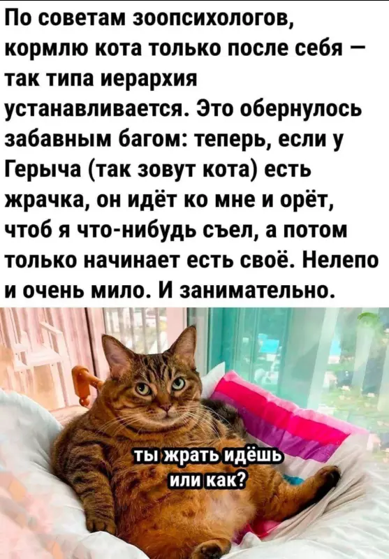 Посмеялся сам - поделись с другом!!!