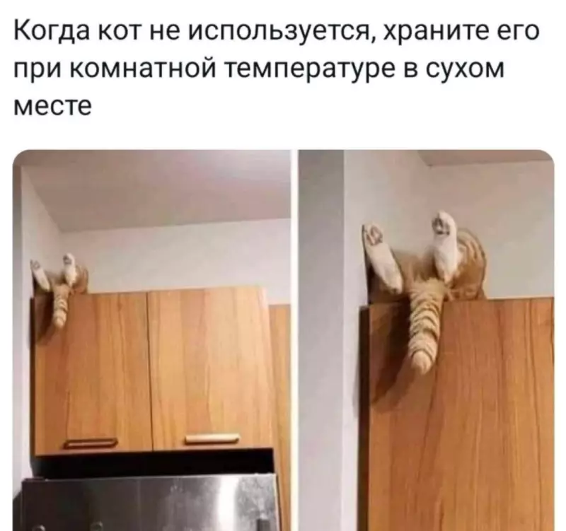 Посмеялся сам - поделись с другом!!!