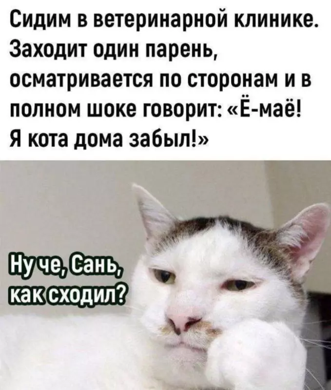 Посмеялся сам - поделись с другом!!!