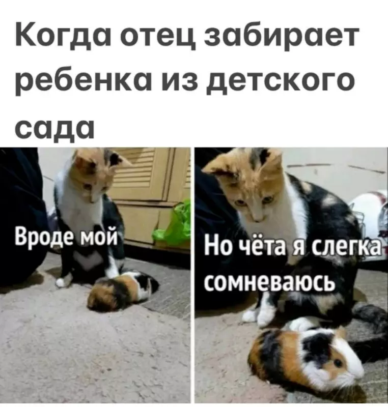 Посмеялся сам - поделись с другом!!!