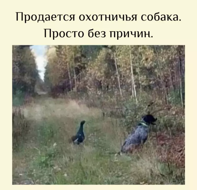 Посмеялся сам - поделись с другом!!!