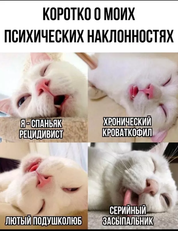 Посмеялся сам - поделись с другом!!!