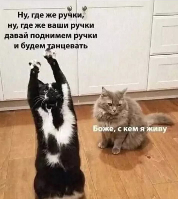 Посмеялся сам - поделись с другом!!!