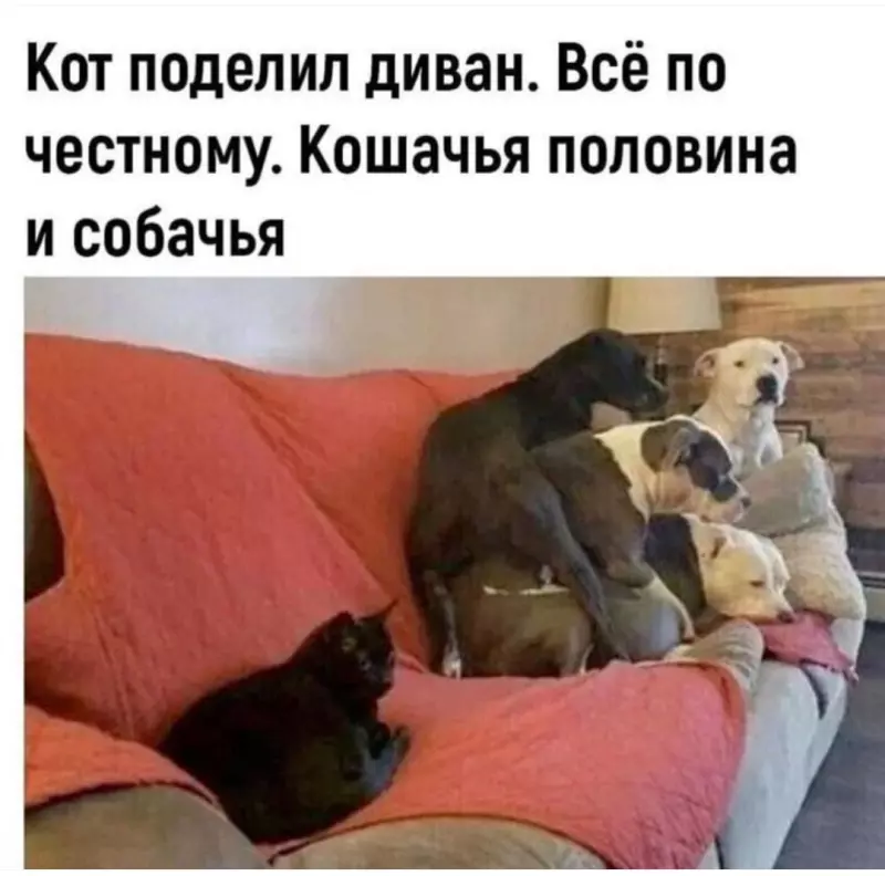 Посмеялся сам - поделись с другом!!!