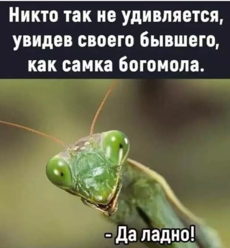 Посмеялся сам - поделись с другом!!!