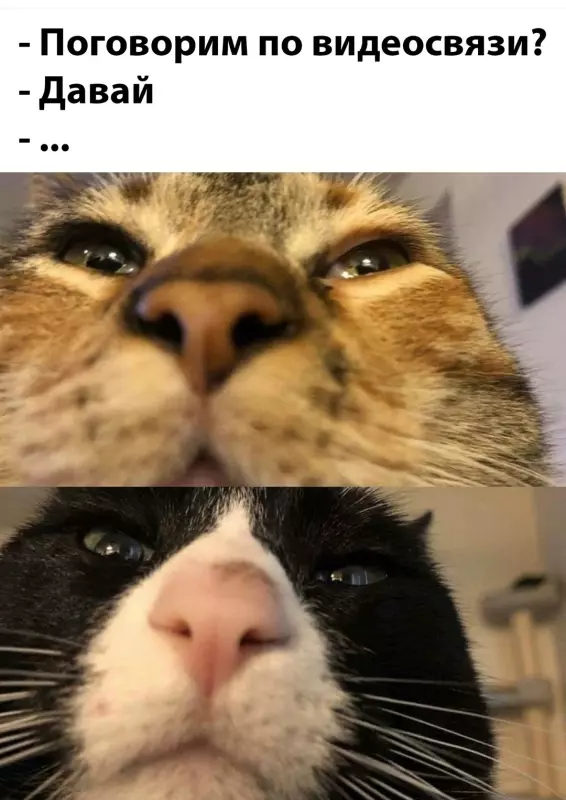 Посмеялся сам - поделись с другом!!!