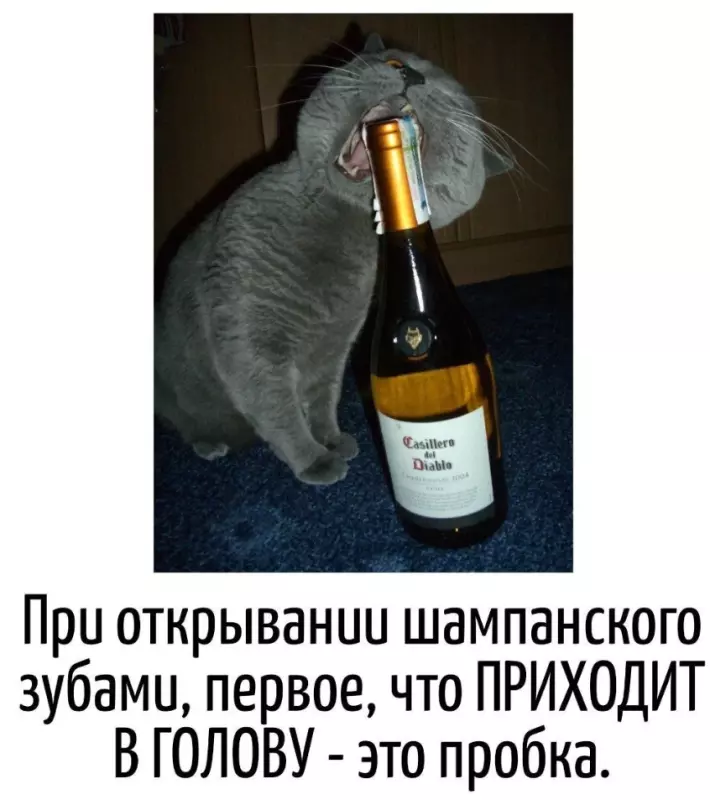 Посмеялся сам - поделись с другом!!!