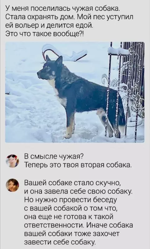 Посмеялся сам - поделись с другом!!!