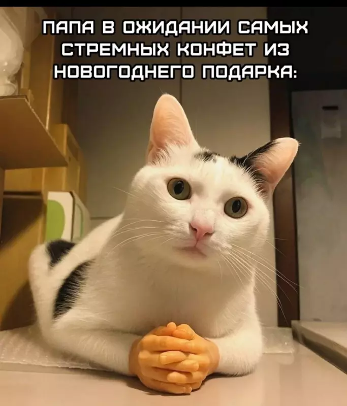 Посмеялся сам - поделись с другом!!!