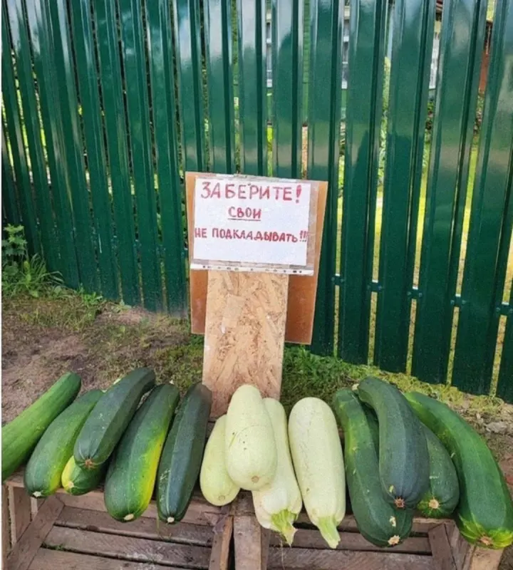 Посмеялся сам - поделись с другом!!!