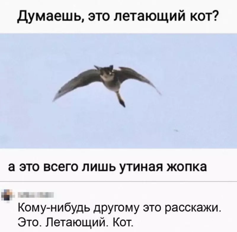 Посмеялся сам - поделись с другом!!!