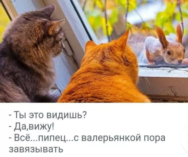 Посмеялся сам - поделись с другом!!!