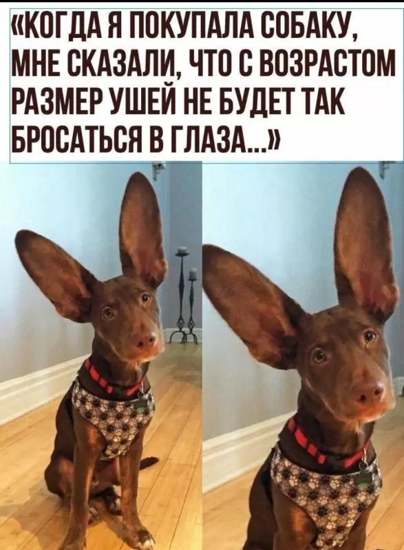 Посмеялся сам - поделись с другом!!!