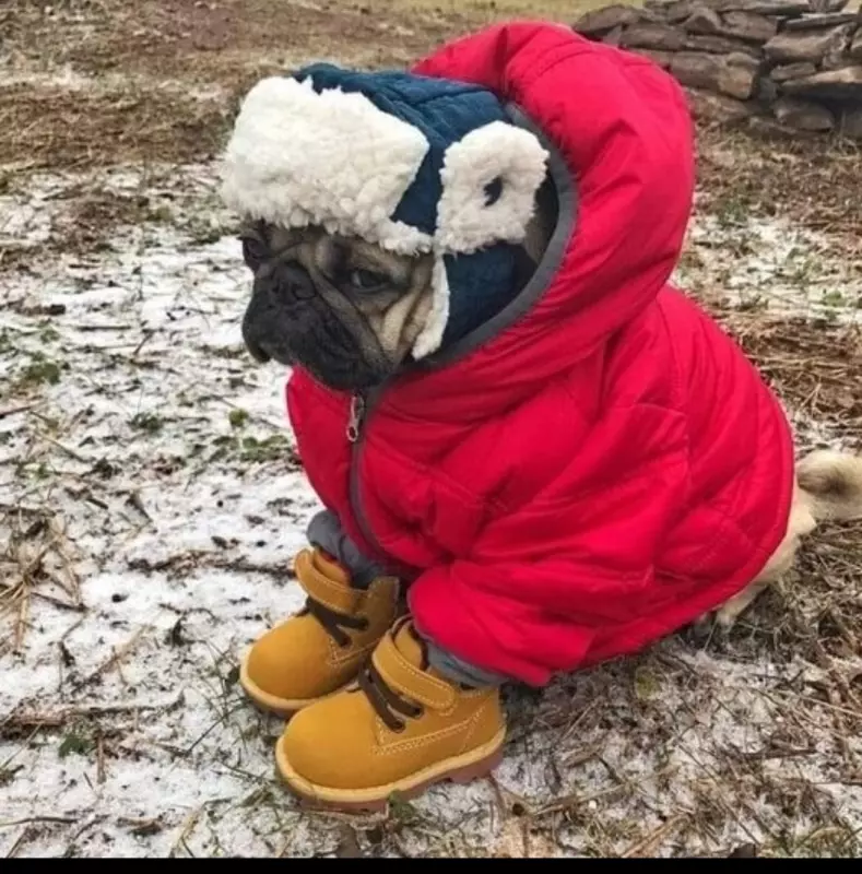 Посмеялся сам - поделись с другом!!!