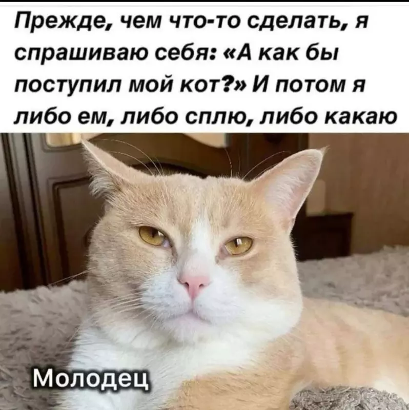 Посмеялся сам - поделись с другом!!!