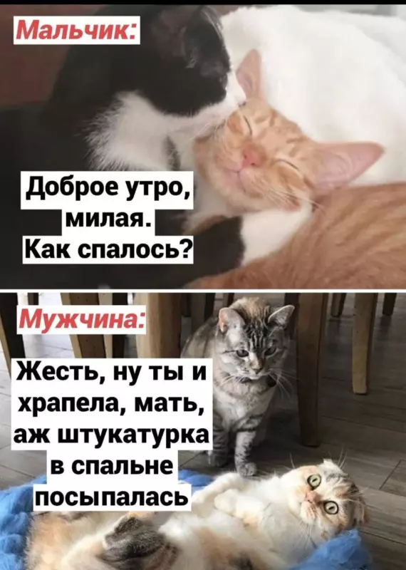 Посмеялся сам - поделись с другом!!!