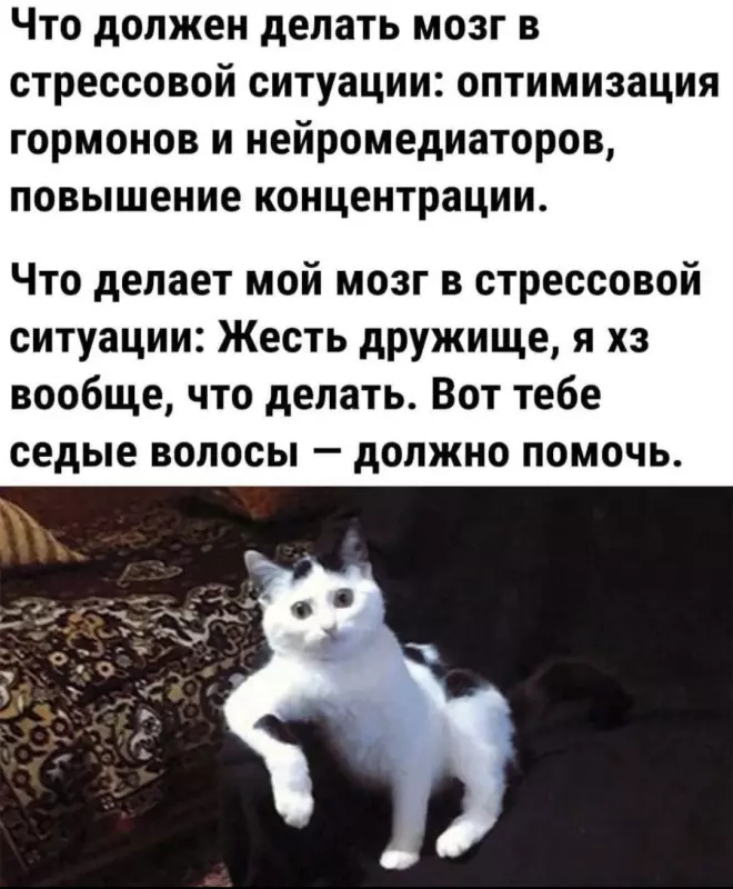 Посмеялся сам - поделись с другом!!!