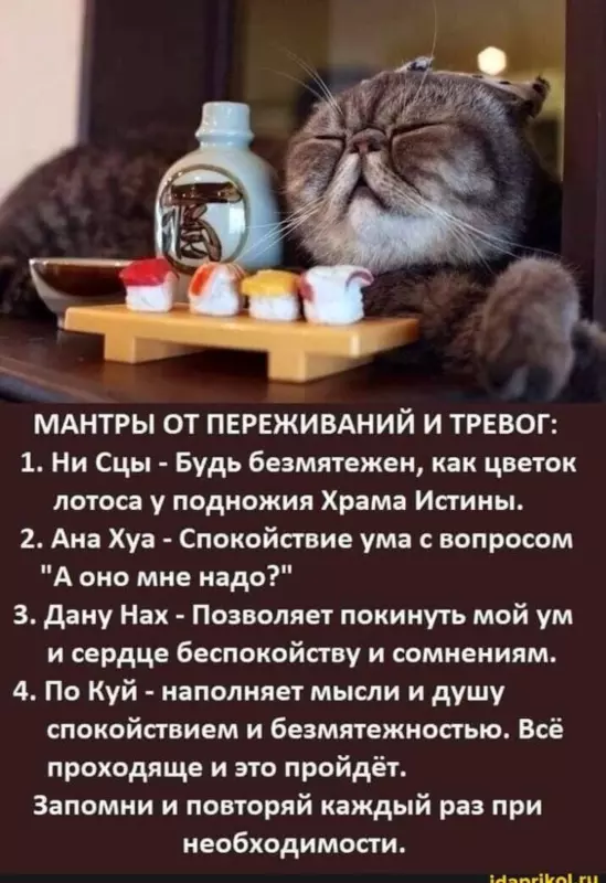 Посмеялся сам - поделись с другом!!!
