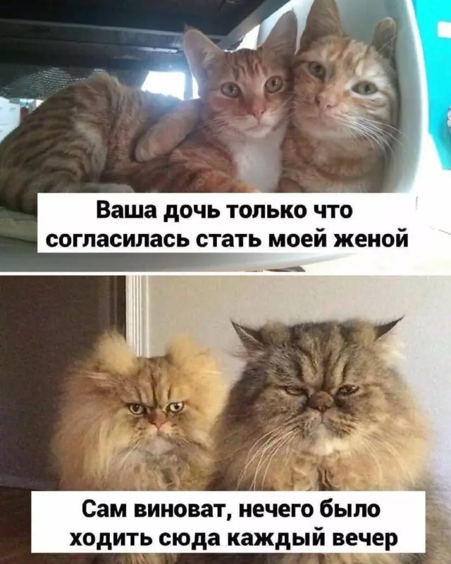 Посмеялся сам - поделись с другом!!!