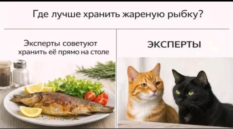 Посмеялся сам - поделись с другом!!!