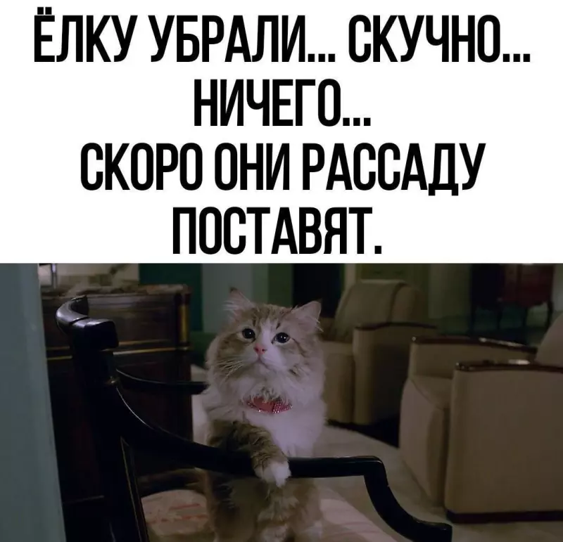 Посмеялся сам - поделись с другом!!!