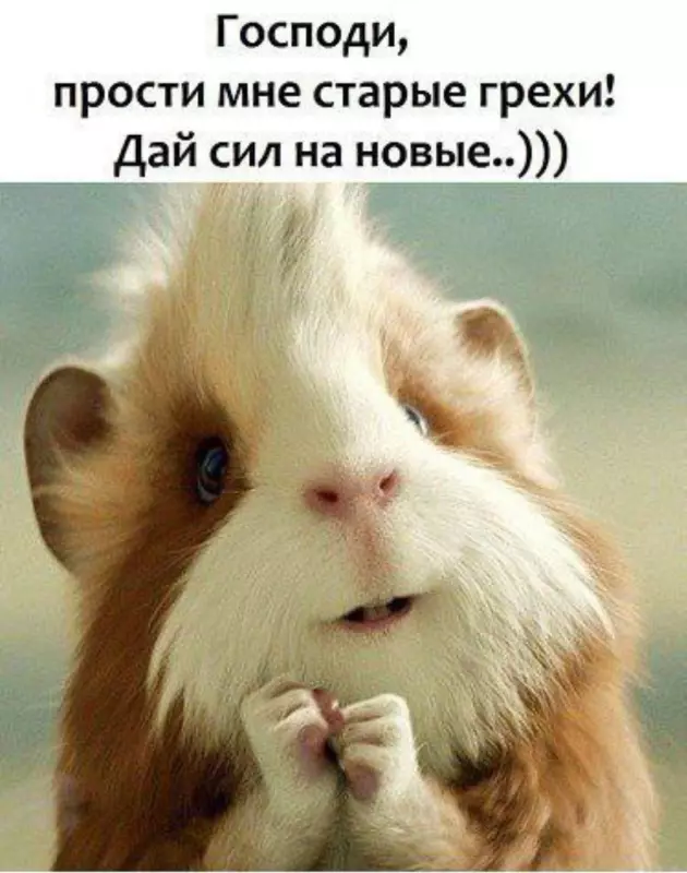 Посмеялся сам - поделись с другом!!!