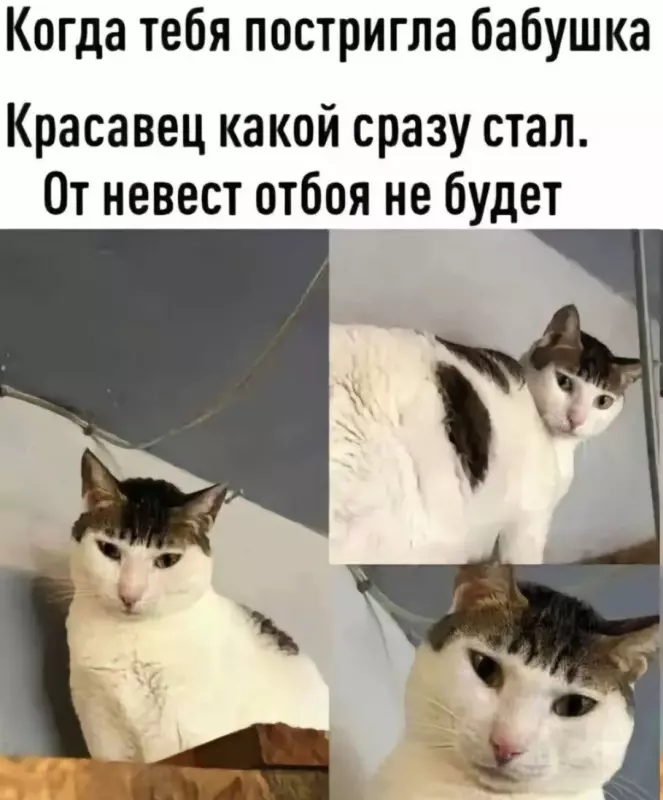 Посмеялся сам - поделись с другом!!!