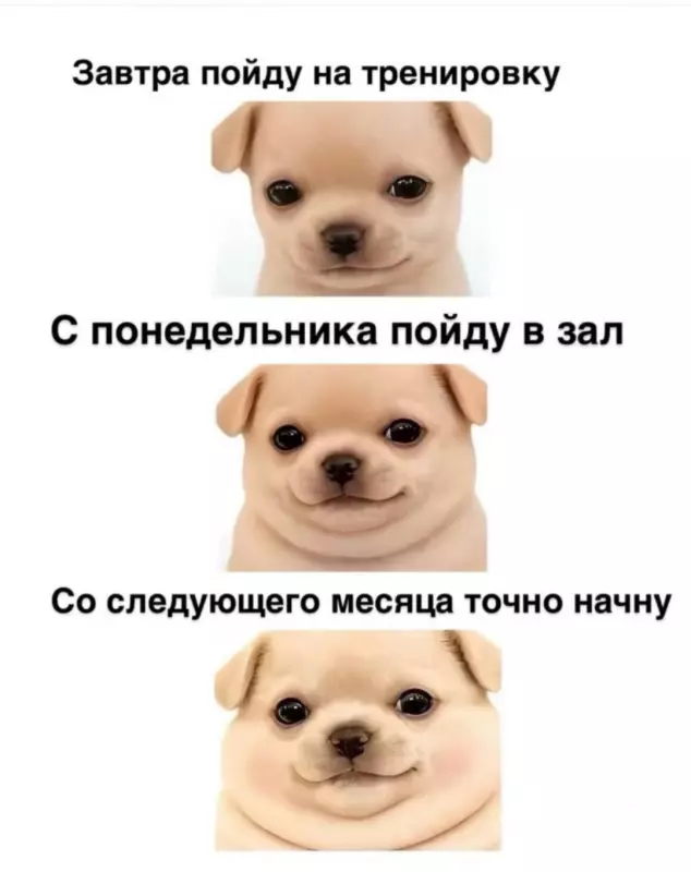 Посмеялся сам - поделись с другом!!!