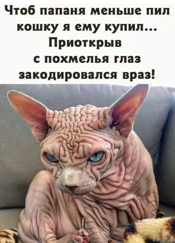 Посмеялся сам - поделись с другом!!!