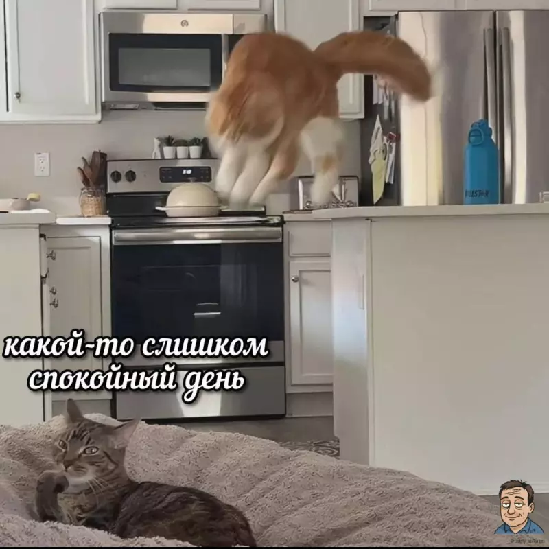 Посмеялся сам - поделись с другом!!!