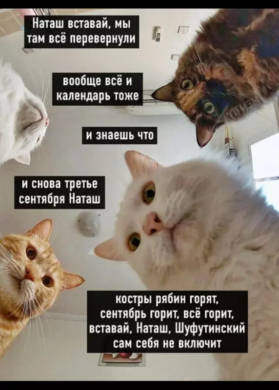 Посмеялся сам - поделись с другом!!!