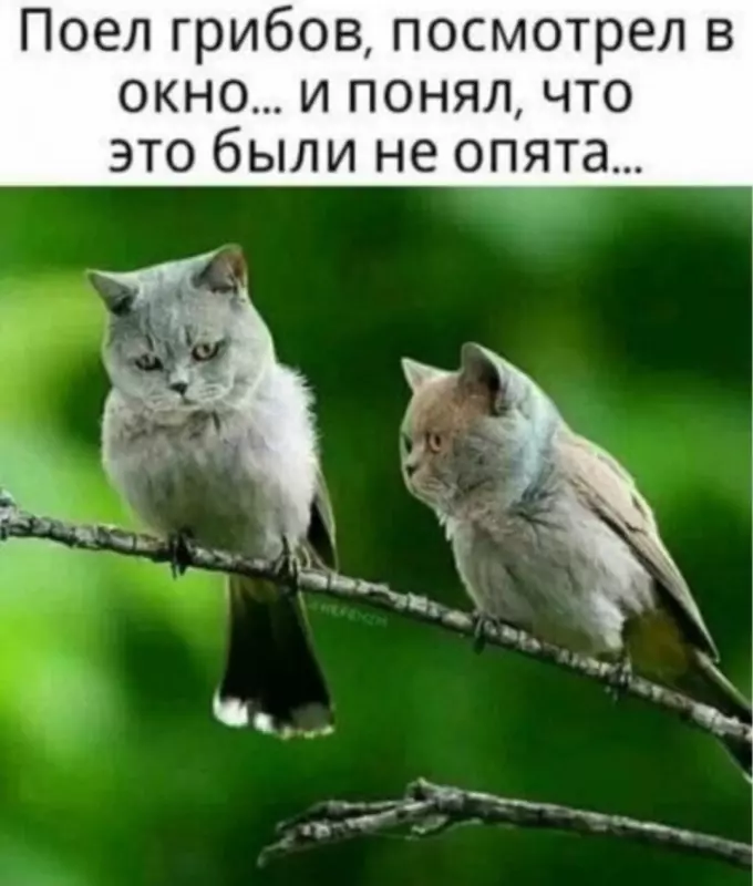 Посмеялся сам - поделись с другом!!!