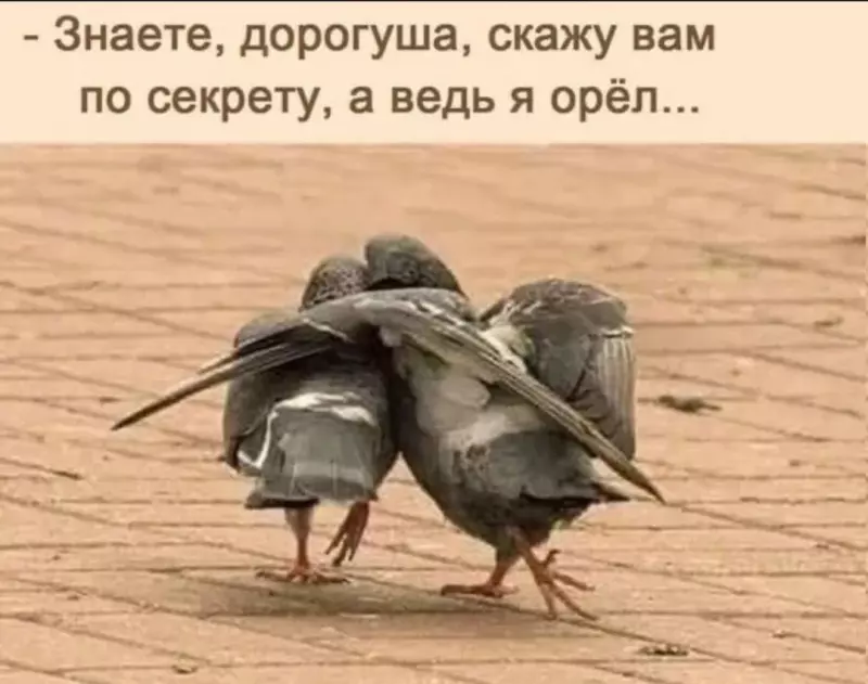 Посмеялся сам - поделись с другом!!!