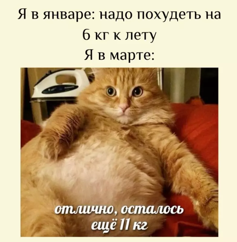 Посмеялся сам - поделись с другом!!!