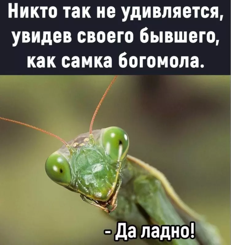 Посмеялся сам - поделись с другом!!!