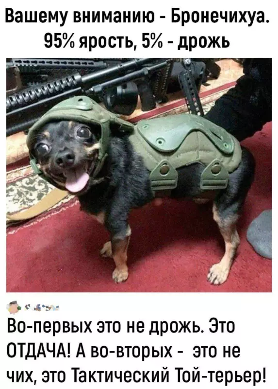 Посмеялся сам - поделись с другом!!!