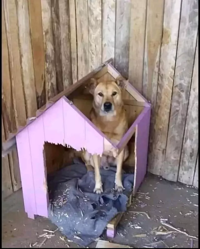Посмеялся сам - поделись с другом!!!