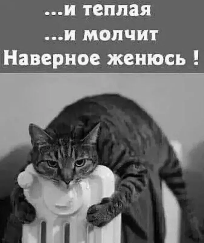 Посмеялся сам - поделись с другом!!!