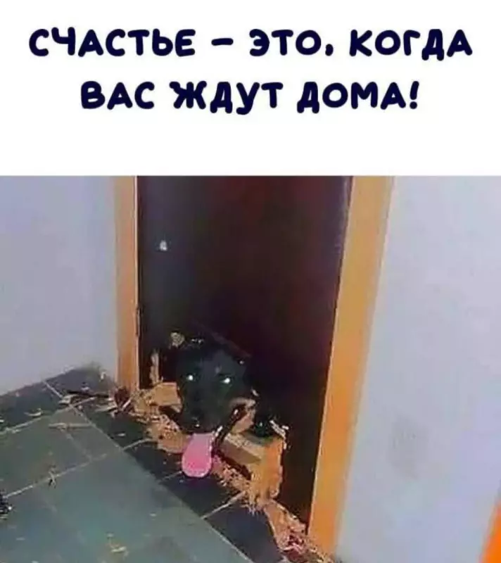 Посмеялся сам - поделись с другом!!!