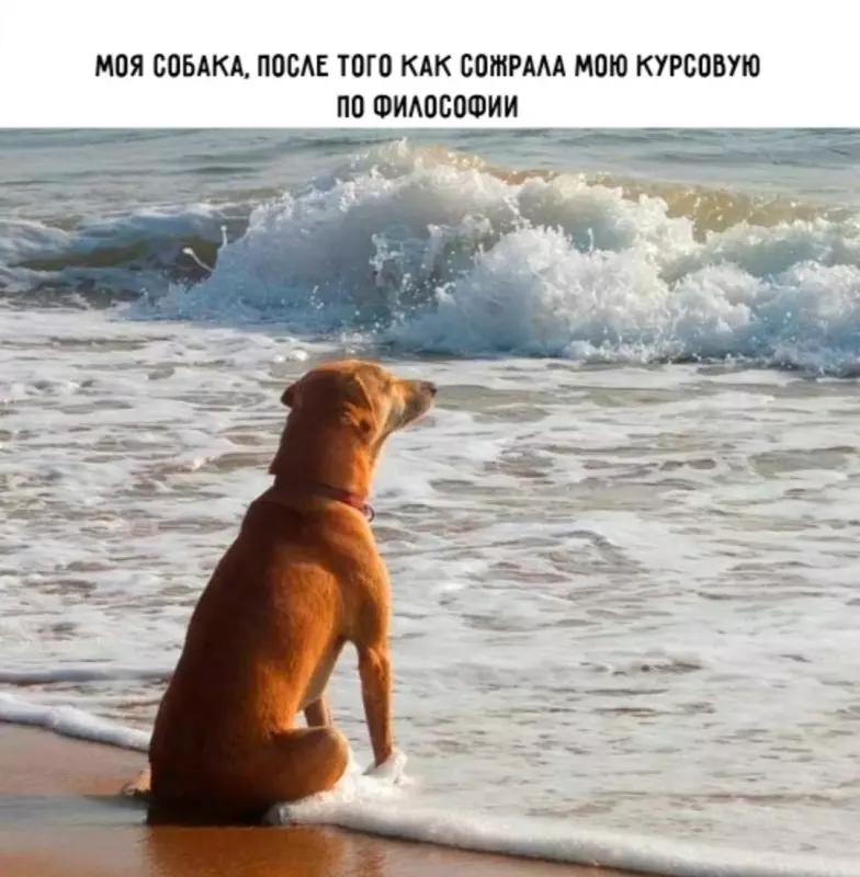 Посмеялся сам - поделись с другом!!!