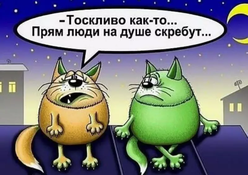 Посмеялся сам - поделись с другом!!!