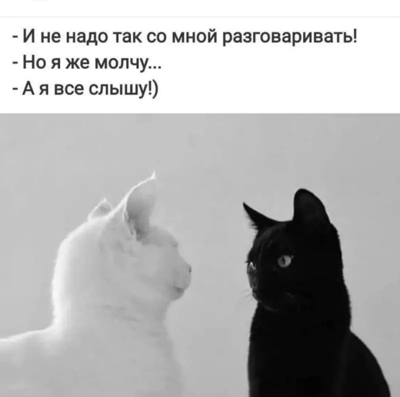 Посмеялся сам - поделись с другом!!!