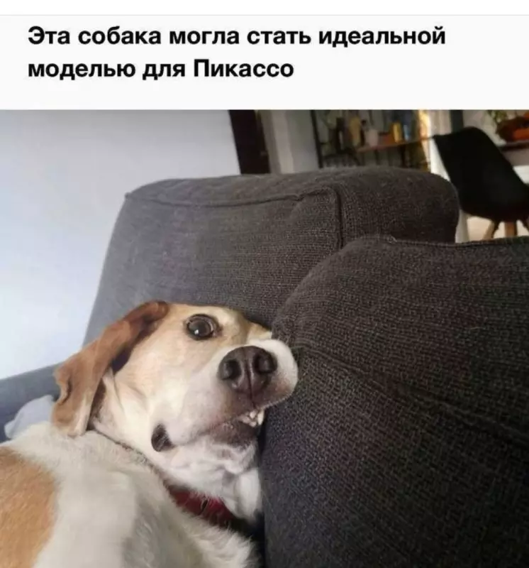 Посмеялся сам - поделись с другом!!!