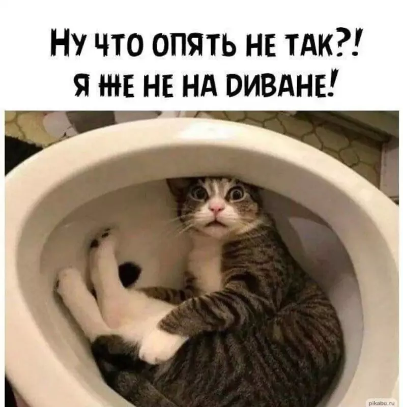 Посмеялся сам - поделись с другом!!!